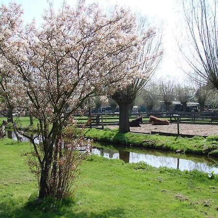Bed&Brood De Straverdonk Graft Exteriör bild
