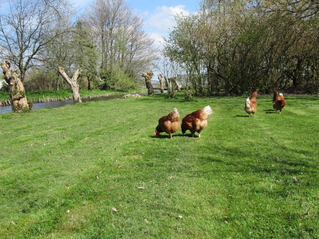 Bed&Brood De Straverdonk Graft Rum bild