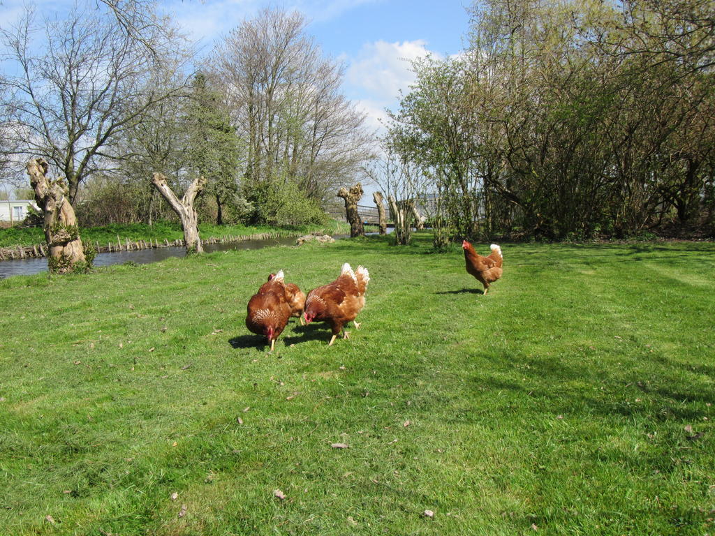 Bed&Brood De Straverdonk Graft Exteriör bild