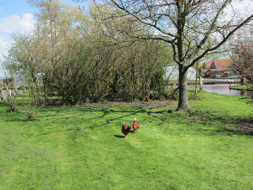 Bed&Brood De Straverdonk Graft Rum bild