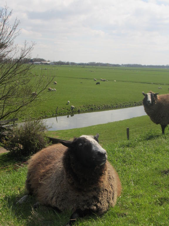 Bed&Brood De Straverdonk Graft Rum bild