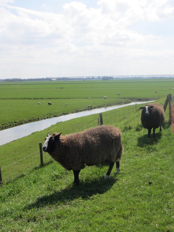 Bed&Brood De Straverdonk Graft Rum bild