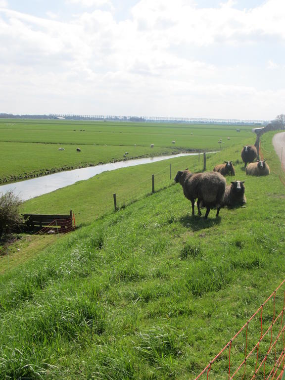 Bed&Brood De Straverdonk Graft Rum bild